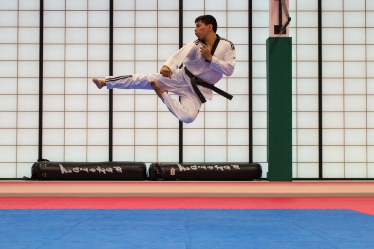Taekwondo-l'arte di combattere con i piedi e le mani